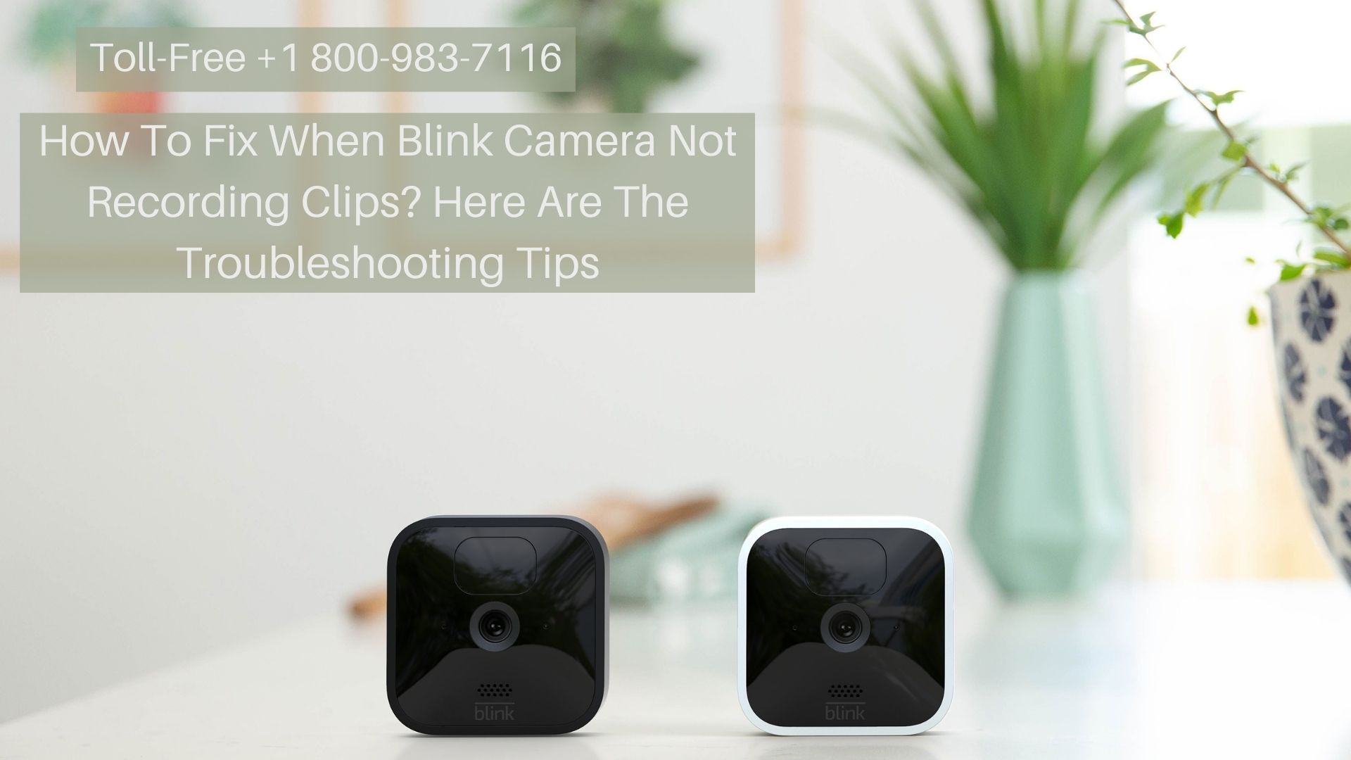 Why Is My Blink Camera Not Recording 1-8009837116 Blink Camera Not Detecting Motion?