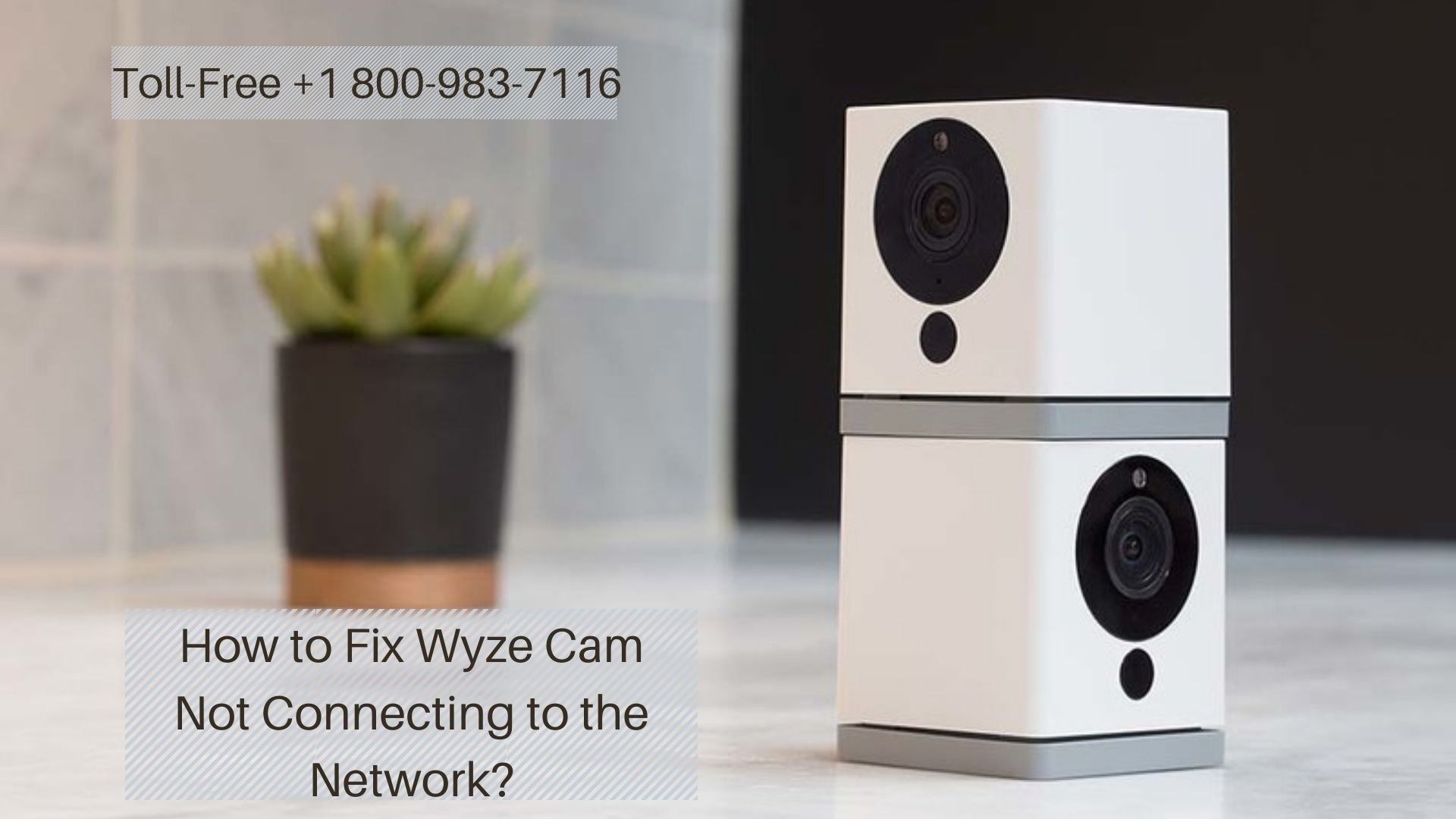 Wyze Cam Won't Connect 1-8009837116 Wyze Cam Not Connecting to Network Fixes
