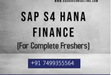SAP S/4 HANA 2020 Finance (FICO) Online Training & Certification Course | Gaurav Learning Solutions