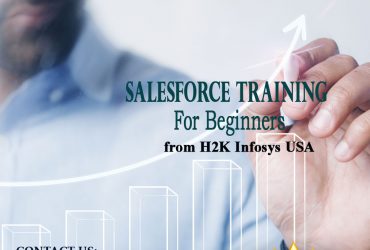 Salesforce Training for Beginners