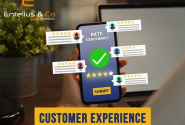 Entellus & co | Best Digital Marketing Company in Bangalore