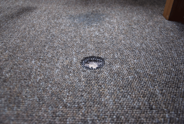 Carpet Torn Repair Brisbane – Maxpro Carpet Repair Brisbane