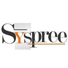 SySpree, Top Web Design Company In India