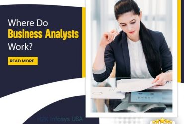 Where do Business Analysts Work