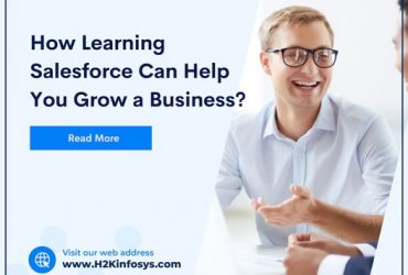 Salesforce Course Online from H2KInfosys USA