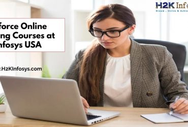 Salesforce Online Training Courses at H2KInfosys USA