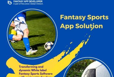 Fantasy Sports App Development Solution