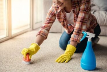 Tired Of Dirty Carpets? Call Us For Cheap Carpet Steam Cleaning Melbourne