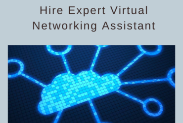 Hire Expert Virtual Networking Assistant & Save Up to 70%