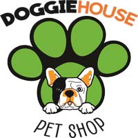 Maltese Puppies for Sale in Dallas
