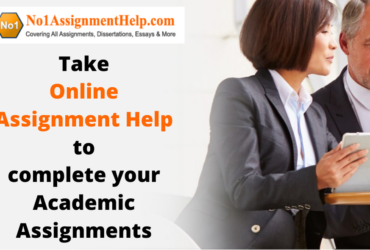 Get Online Assignment Help as per your Requirements