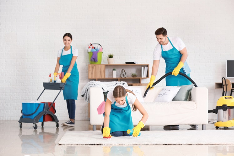 Oz Cleaning Geelong – professional Carpet Cleaning in Geelong