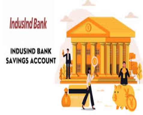 IndusInd Bank Limited – Financial Programs