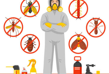 pest control services  in UAE