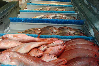 Seafood Processing Equipment Market – Best7