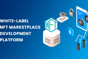 White Label NFT Marketplace Development – Saves time, money, and resources.