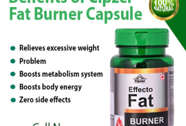 Fat Burner Capsule helps in rapid weight loss & increases energy