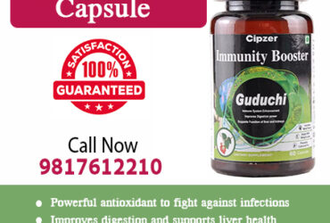 Guduchi Capsule removes toxins from the kidney and liver & purifies the blood.