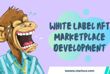White Label NFT Marketplace Development | White Label NFT Marketplace Services