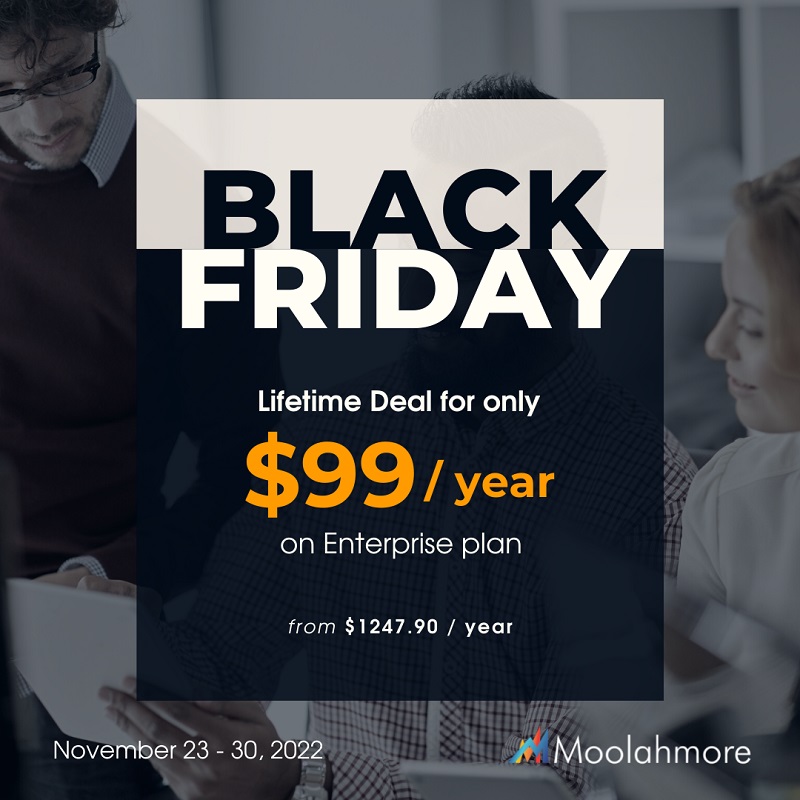 Moolahmore Cash Flow Tool – Black Friday On Sale and Promo