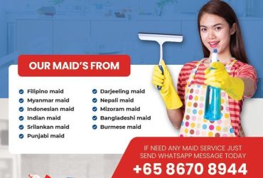Malay Maid Agency Singapore