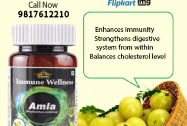 Amla capsules gift you with better vision & normalize the level of uric acid