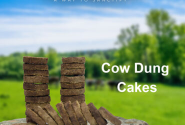 Holy Cow Dung Cake In Visakhapatnam