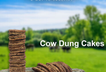 Cow Gobar Online In India