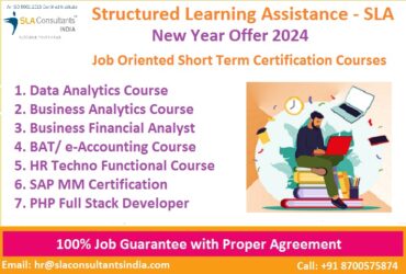 Data Analyst Course in Delhi by Microsoft, Online Data Analytics Certification in Delhi by Google, [100% Job with MNC] Learn Excel, VBA/Macros, SQL, Power BI, Python Data Science and AnswerRocket, Top Training Center in Delhi – SLA Consultants India,